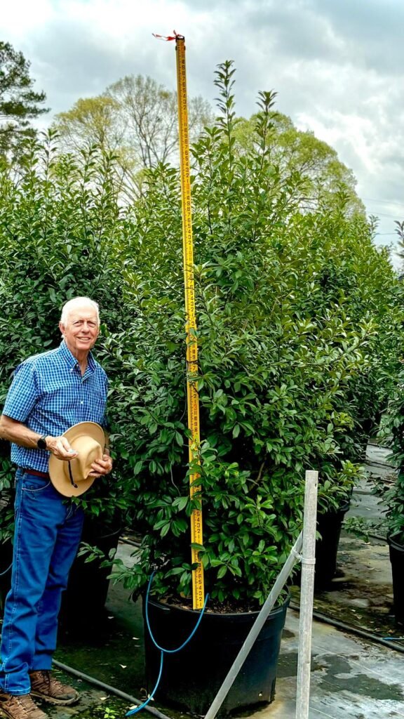 Horticulture Supply Chain nursery plant inventory