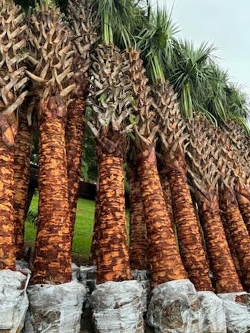Horticulture Supply Chain nursery plant inventory