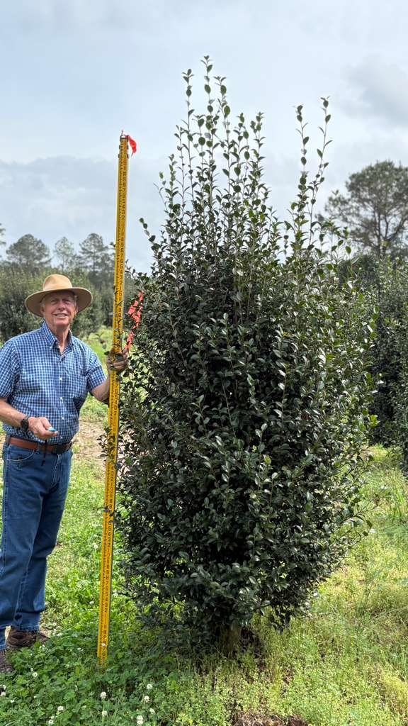Horticulture Supply Chain nursery plant inventory